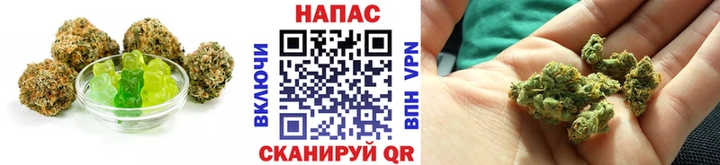 купить закладку  Новошахтинск  Cannafood марихуана 