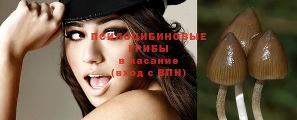 ПСИЛОЦИБИНОВЫЕ ГРИБЫ Алзамай