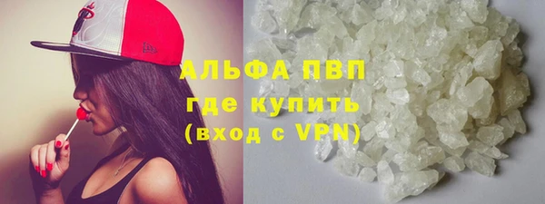 крисы Магас