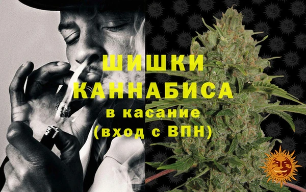 сатива Алексин