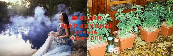 амф Алексеевка