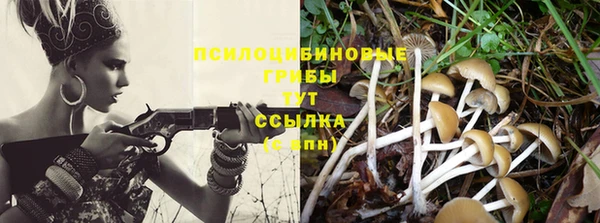 сатива Алексин