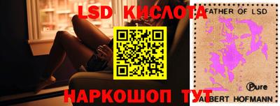 эйфоретик Жуковский