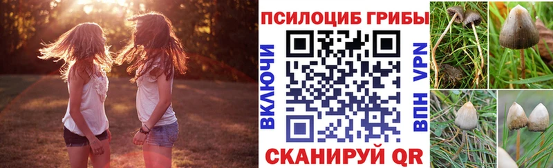 купить   Новошахтинск  Галлюциногенные грибы Magic Shrooms 