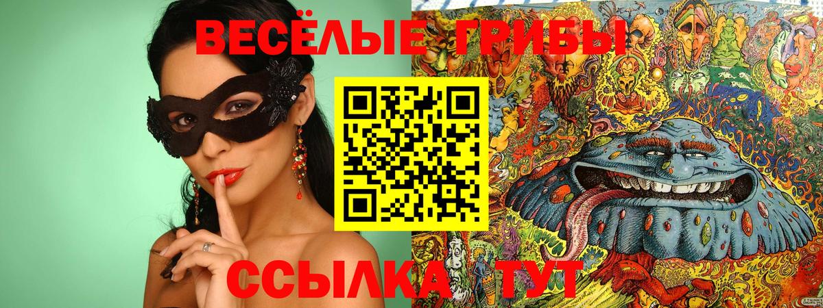 Псилоцибиновые грибы мухоморы  Псилоцибиновые грибы GOLDEN TEACHER  Новошахтинск  Вход с VPN 